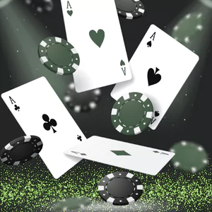 스네이크카지노 가입코드 사용법과 안전하게 즐기는 온라인 카지노 가이드